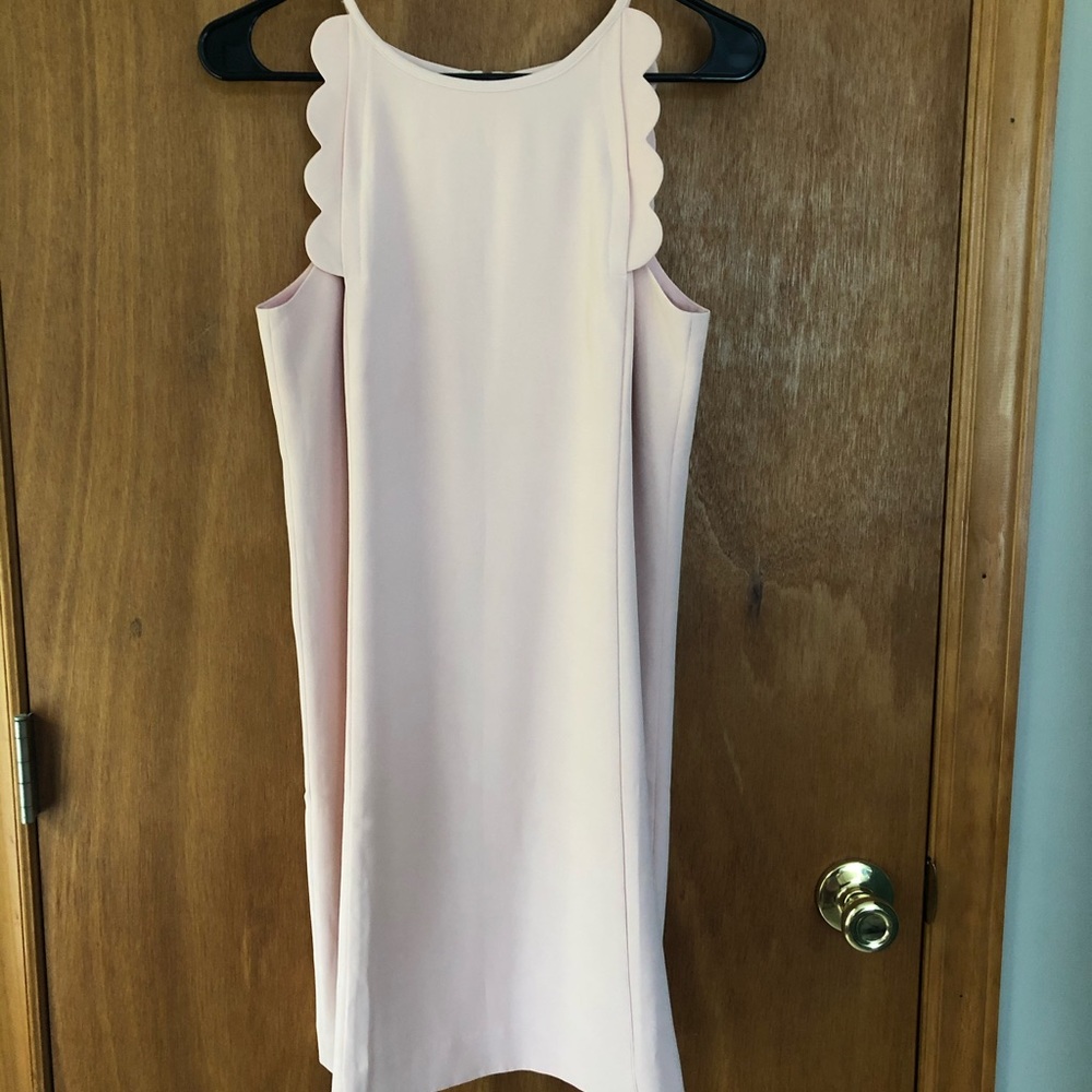 NWOT Ann Taylor Blush Pink Dress